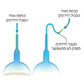 (בספר איורים)